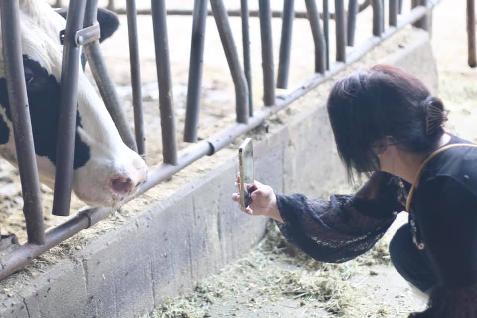 保田農場の写真4。