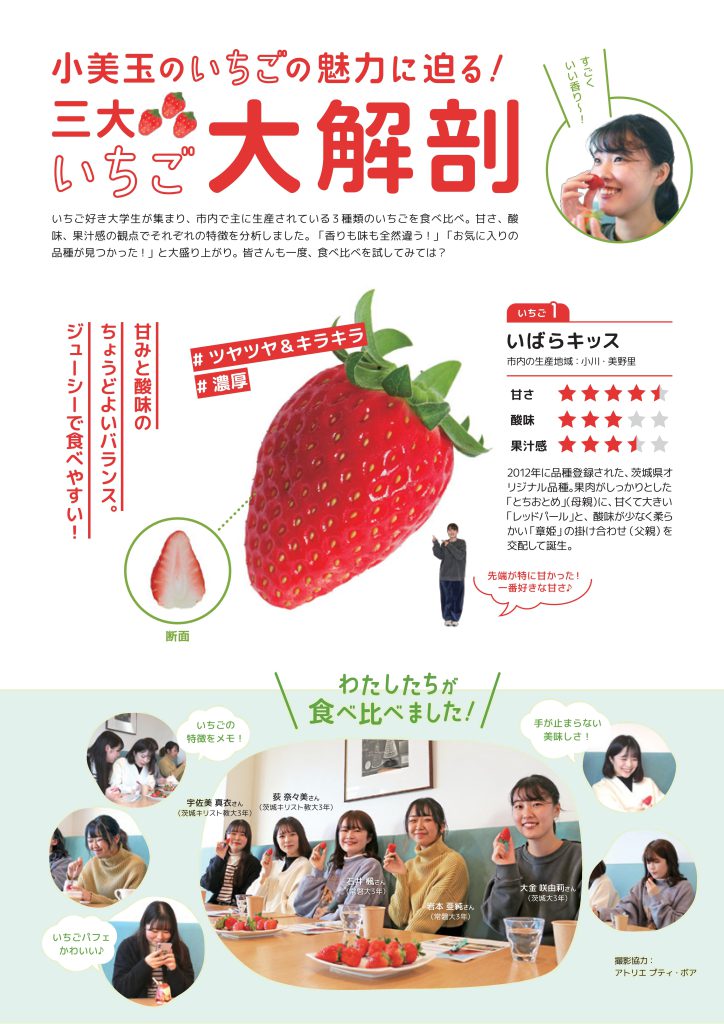 小美玉市のいちごの魅力に迫る！三大いちご大解剖のチラシ画像。