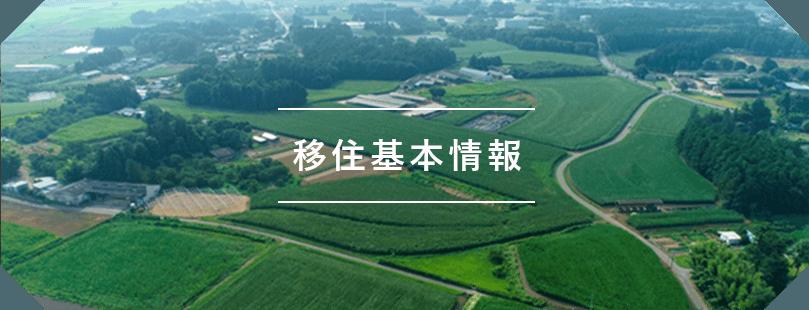 移住基本情報
