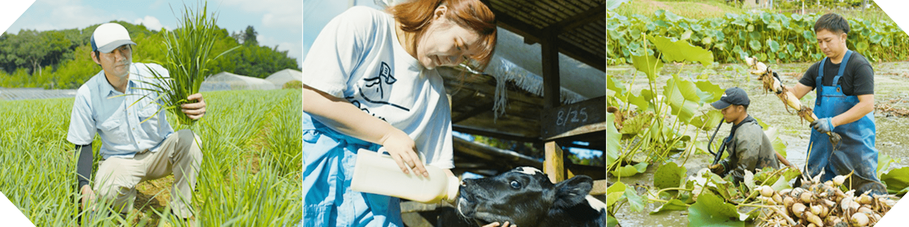 小美玉市で働く方々